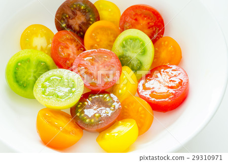 Mini Tomato Mini Tomato 29310971