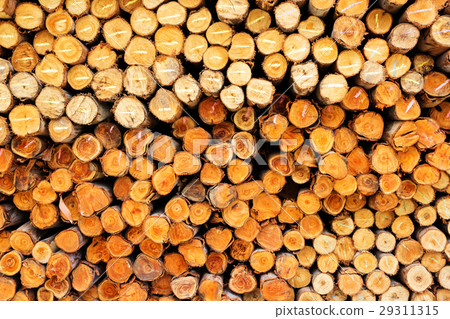 wood for foundation pile 29311315
