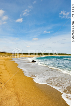 Sea	 29311371