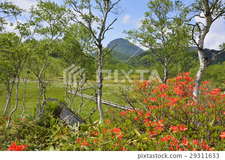 Shiga Takahara Tanohara Mire Shiga Takahara Tanohara Mire 29311633
