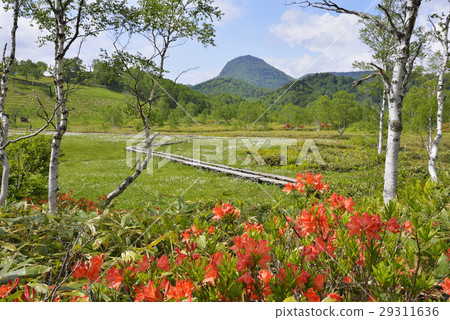 Shiga Takahara Tanohara Mire Shiga Takahara Tanohara Mire 29311636