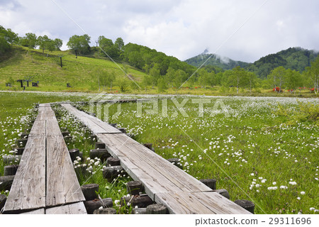 Shiga Takahara Tanohara Mire 29311696