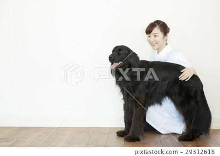 Retrievers and white women Retrievers and white women 29312618