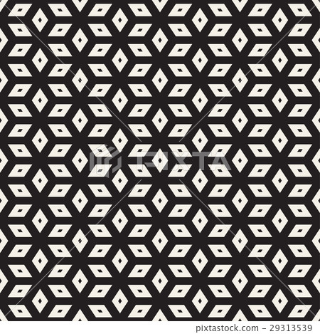 Trendy Monochrome Line Lattice. Vector Seamless 29313539