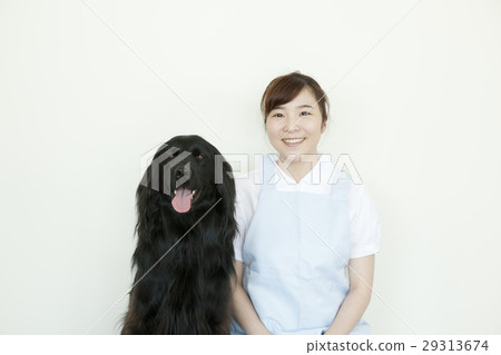 獵犬和白人婦女 29313674