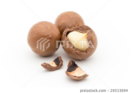 澳洲堅果：澳洲堅果 29313694