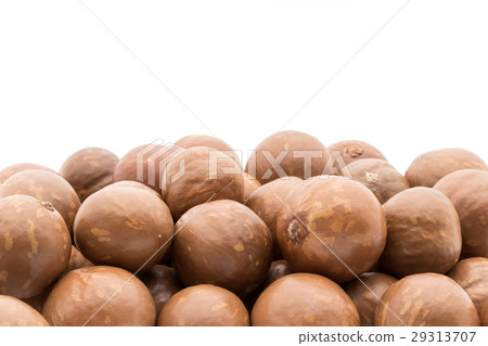 澳洲堅果：澳洲堅果 29313707