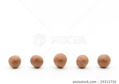 澳洲堅果：澳洲堅果 29313710