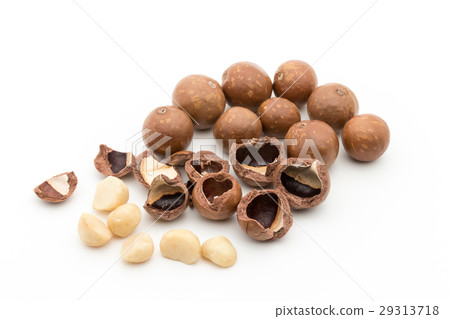 澳洲堅果：澳洲堅果 29313718