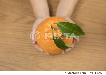 Hand of children with decor Hand of children with decor 29314266