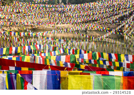 印度，菩提迦耶，藏傳佛教，Talcho， 29314528