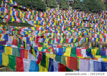 印度,菩提迦耶,藏傳佛教,Talcho, 印度,菩提迦耶,藏傳佛教,Talcho, 29314529