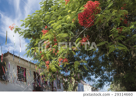 Carnival decorations on the streets of Paraty 29314660