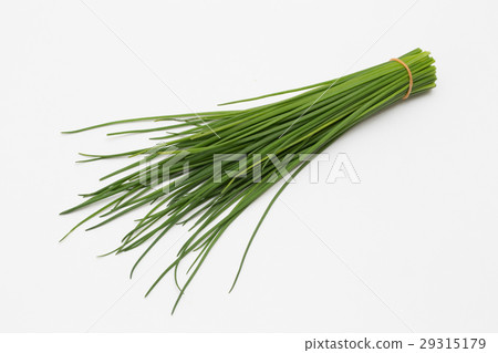 Herb Chives 29315179
