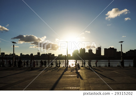 Big rice paddy wharf in the sunset 29315202