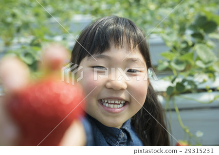 Ichigo hunting image Ichigo hunting image 29315231