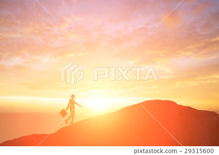 silhouette of businesswoman silhouette of businesswoman 29315600