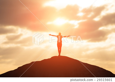 silhouette of businesswoman 29315601