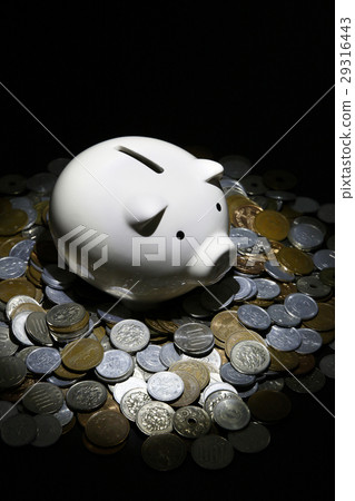 savings savings 29316443