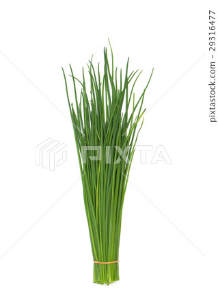 Herb Chives 29316477