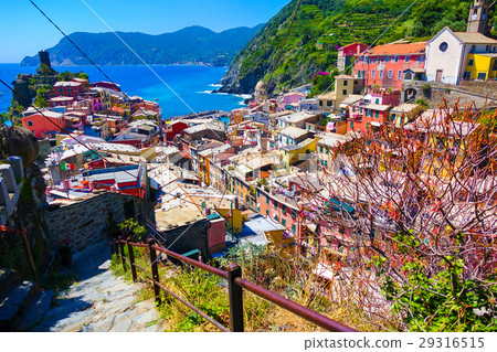 Vernazza village in Cinque Terre, Italy Vernazza village in Cinque Terre, Italy 29316515