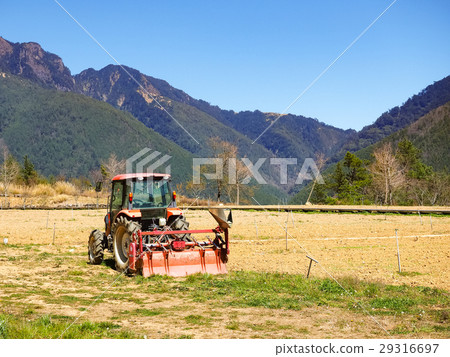 Harvest 29316697