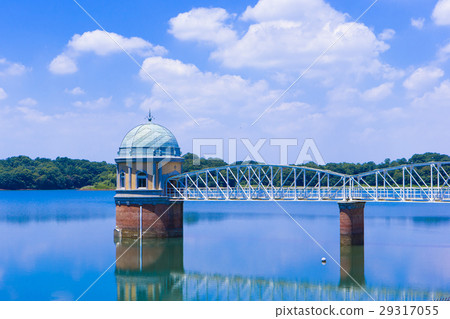 Tamaoka Tamaoka 29317055