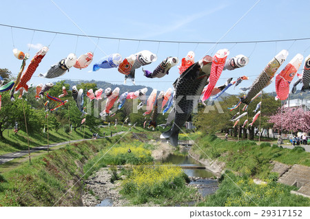 Caterpillar of the long stature 29317152