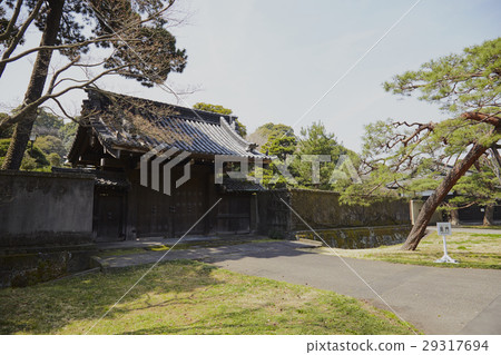 Imperial Palace cherry tree Imperial Palace cherry tree 29317694