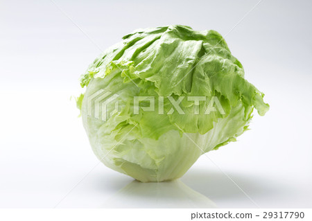 Lettuce 6 Lettuce 6 29317790