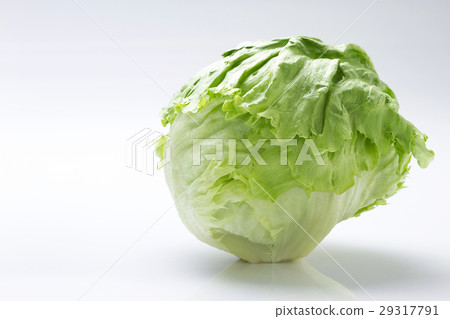 Lettuce 7 29317791