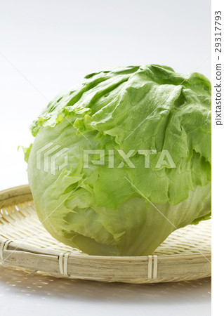 Lettuce 9 29317793