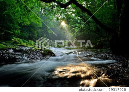 Kikuchi Gorge Kikuchi Gorge 29317926