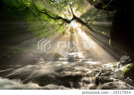 Kikuchi Gorge 29317954