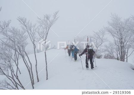 高山滑雪 高山滑雪 29319306
