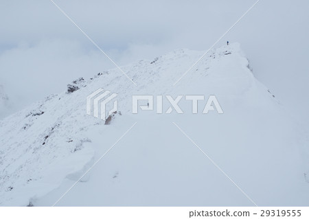 Okino Ear of Mt. Tanigawa in the Terrible Winter Okino Ear of Mt. Tanigawa in the Terrible Winter 29319555