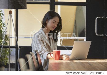 The wonam is focusing on the laptop screen The wonam is focusing on the laptop screen 29319842