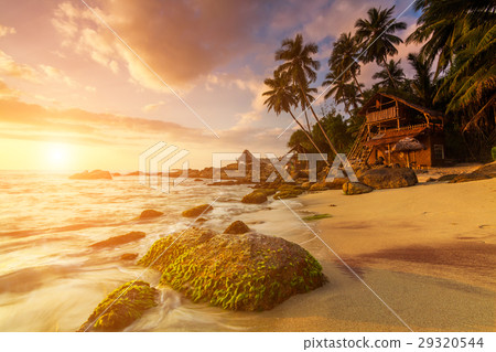 Sandy beach at dawn. Sri Lanka Sandy beach at dawn. Sri Lanka 29320544