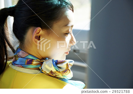 巴士指南 29321788