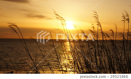 Evening scenery of Lake Saroma Evening scenery of Lake Saroma 29321868