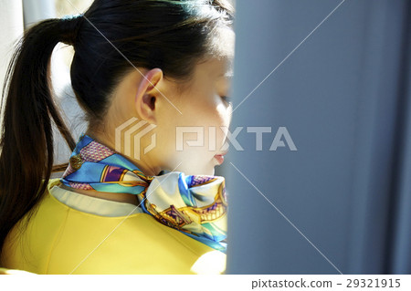 巴士指南 巴士指南 29321915