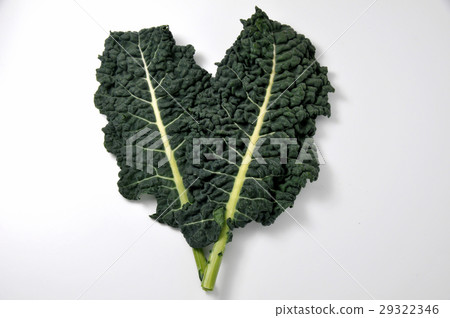 Kale 29322346