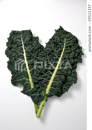 Kale Kale 29322347