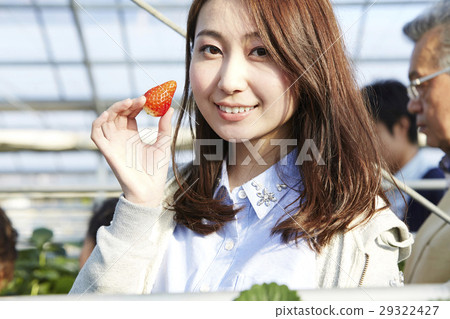 草莓狩獵婦女 草莓狩獵婦女 29322427