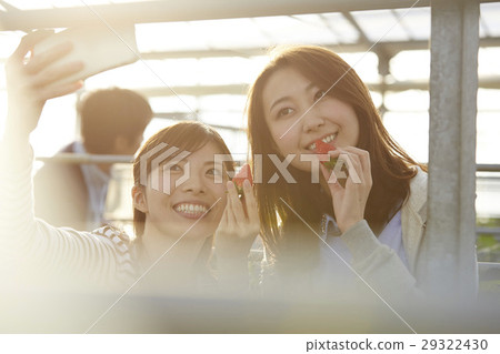 草莓狩獵婦女 草莓狩獵婦女 29322430