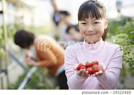 Strawberry hunting kid 29322489