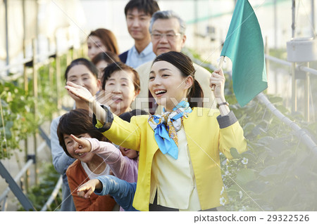 Strawberry hunting tour 29322526