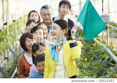 Strawberry hunting tour 29322581