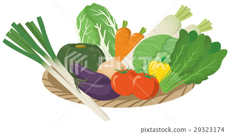 圖像例證套包括的菜_籃子 29323174