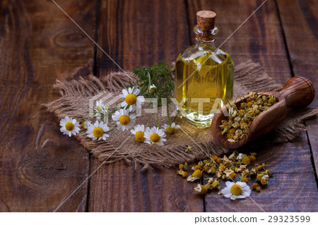 Chamomile oil aromatherapy Chamomile oil aromatherapy 29323599